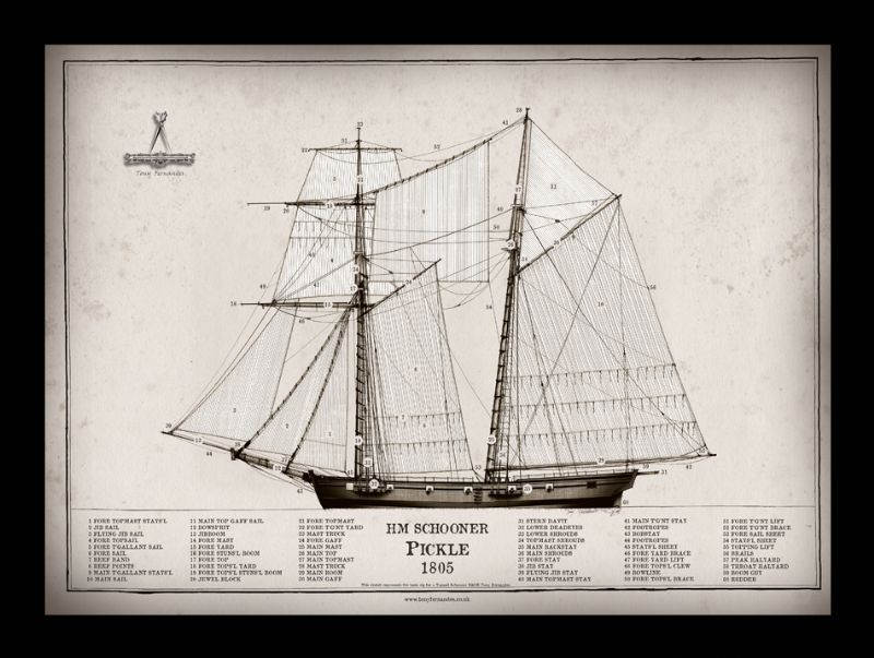 21) HMS Pickle 1805 by Tony Fernandes - signed open print